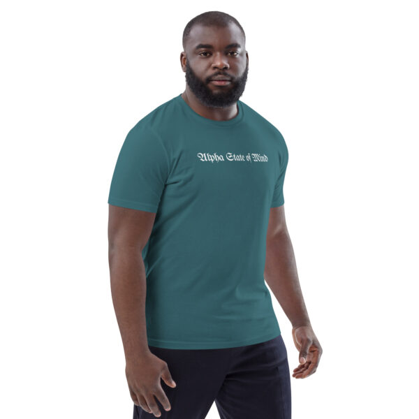 unisex-organic-cotton-t-shirt-stargazer-right-front-68b5da5c2252b.jpg Alpha State Of Mind organic cotton t-shirt