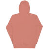 cotton-heritage-m2580-i-unisex-premium-pullover-hoodie-dusty-rose-back-68e9393d0a686.jpg Chill, It Is Just My Aura Hoodie