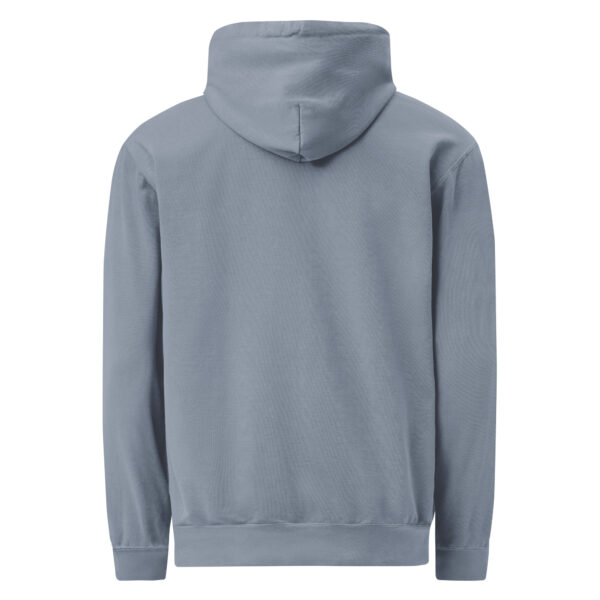 unisex-garment-dyed-hooded-sweatshirt-i-comfort-colors-1567-blue-jean-back-69383e2bd88b1.jpg Not Today Garment-dyed Hoodie