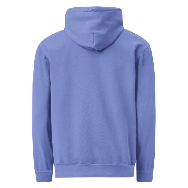 unisex-garment-dyed-hooded-sweatshirt-i-comfort-colors-1567-flo-blue-back-69383e2bd70c0.jpg Not Today Garment-dyed Hoodie