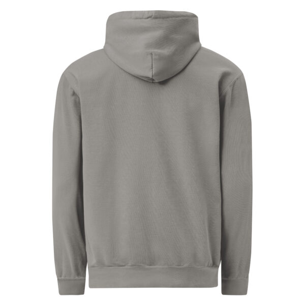 unisex-garment-dyed-hooded-sweatshirt-i-comfort-colors-1567-grey-back-69383e2bd7ca5.jpg Not Today Garment-dyed Hoodie