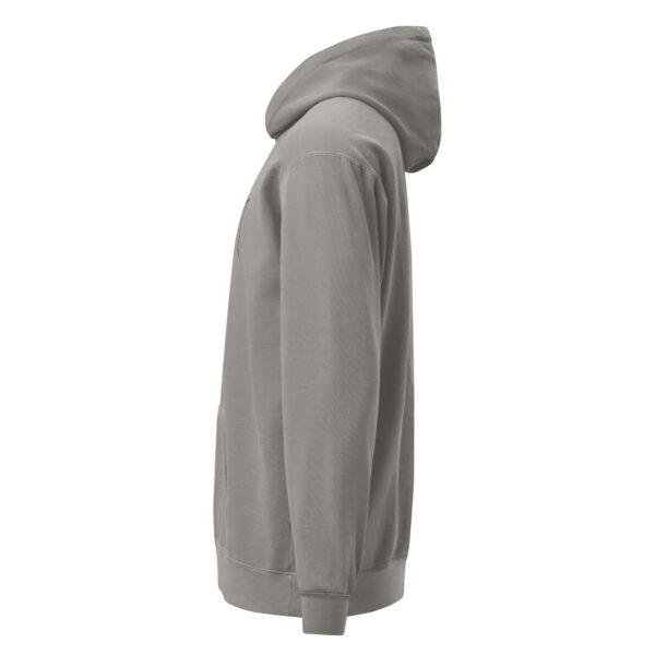 unisex-garment-dyed-hooded-sweatshirt-i-comfort-colors-1567-grey-left-69383e2bd8069.jpg Not Today Garment-dyed Hoodie
