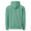 unisex-garment-dyed-hooded-sweatshirt-i-comfort-colors-1567-seafoam-back-69383e2bda083.jpg Not Today Garment-dyed Hoodie