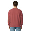 unisex-garment-dyed-sweatshirt-crimson-back-69db36ff560f7.jpg Beefcake In Shades Garment-dyed Sweatshirt